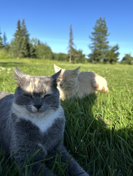 Entry image for Baby & Charlie . Clicking this image will show a larger photo