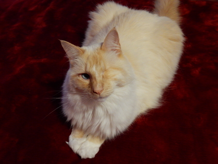 Entry image for Howard. Clicking this image will show a larger photo