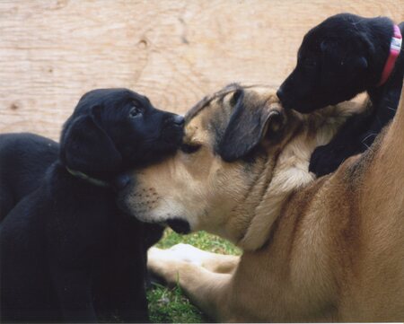 Entry image for Sam Q Stayed. Clicking this image will show a larger photo