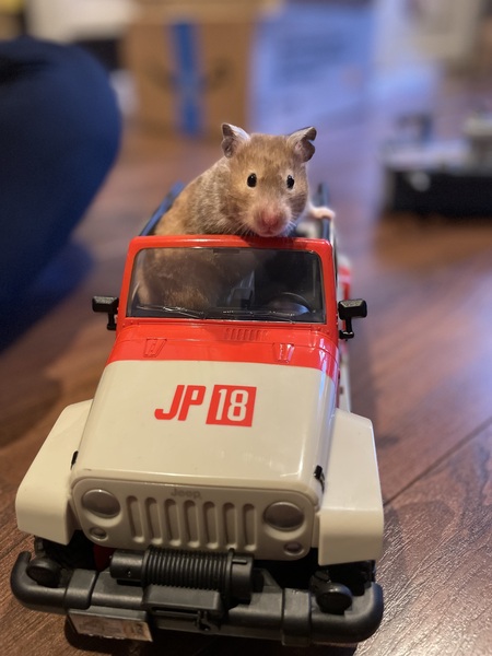 Entry image for Astro. Clicking this image will show a larger photo