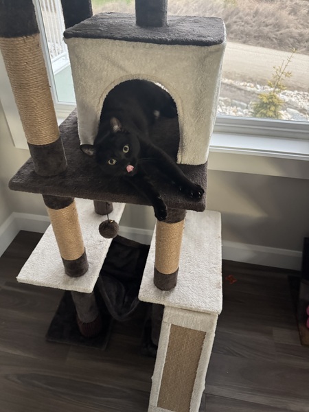 Entry image for Mutsu. Clicking this image will show a larger photo