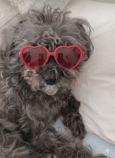 Entry image for Boethious. Clicking this image will show a larger photo