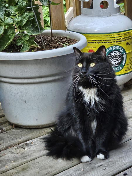 Entry image for Froth. Clicking this image will show a larger photo