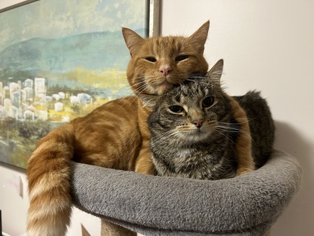 Entry image for Tony and Ed Sheeran. Clicking this image will show a larger photo