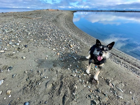 Entry image for Alice. Clicking this image will show a larger photo