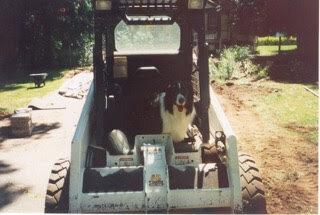 Entry image for Jazz. Clicking this image will show a larger photo