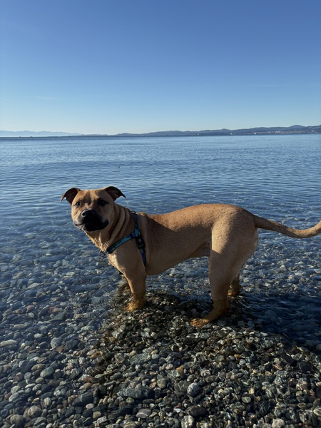 Entry image for Oslo. Clicking this image will show a larger photo