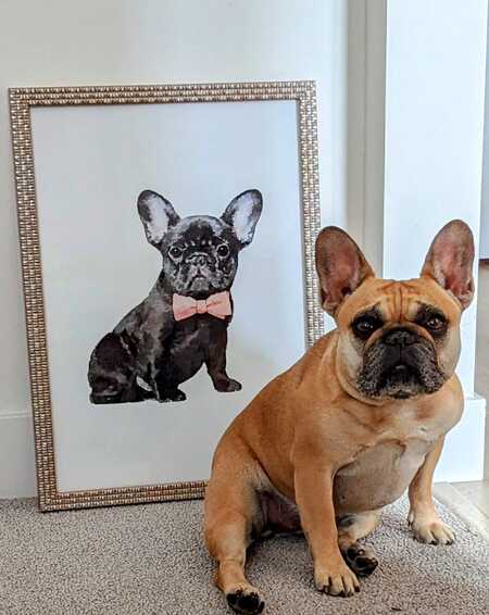 Entry image for Chloe. Clicking this image will show a larger photo