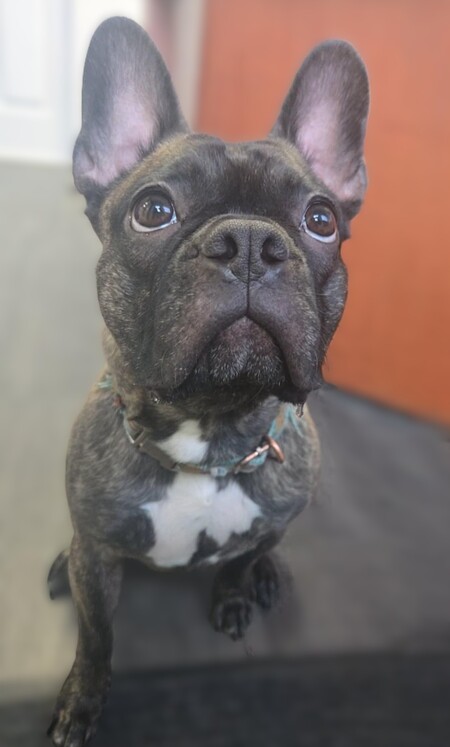 Entry image for Gord. Clicking this image will show a larger photo