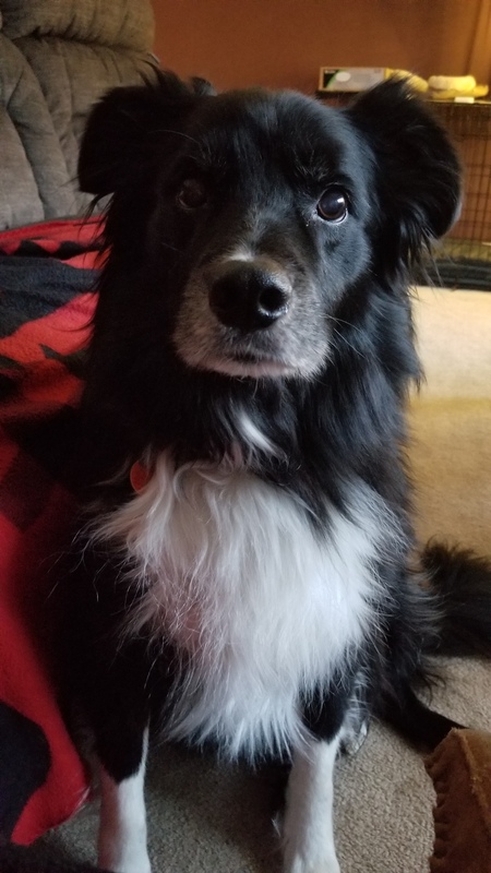 Entry image for Tacoma. Clicking this image will show a larger photo