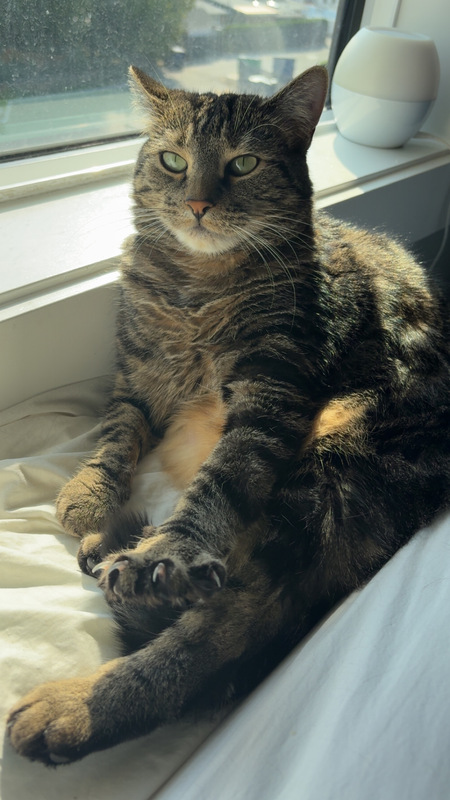 Entry image for Summer. Clicking this image will show a larger photo