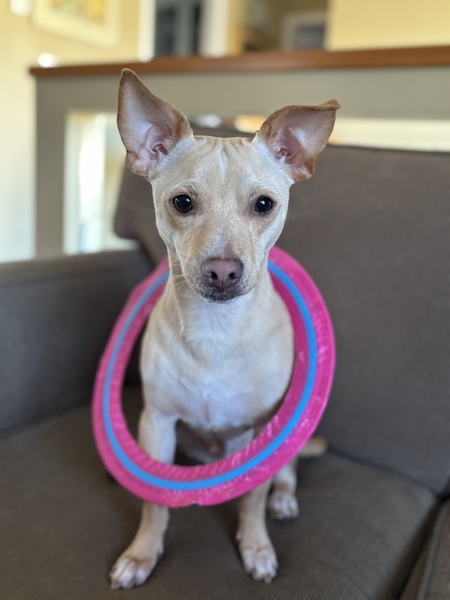 Entry image for Max. Clicking this image will show a larger photo