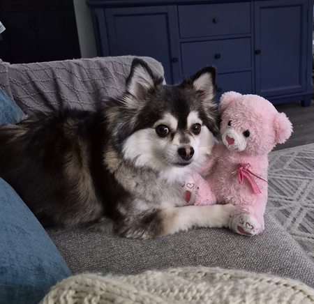 Entry image for Lacey. Clicking this image will show a larger photo