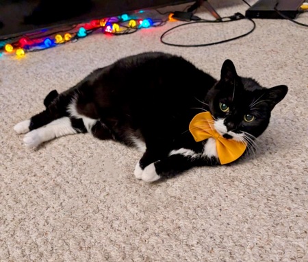 Entry image for Jessie. Clicking this image will show a larger photo