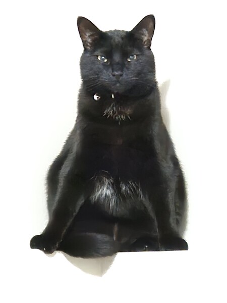 Entry image for Rocket. Clicking this image will show a larger photo