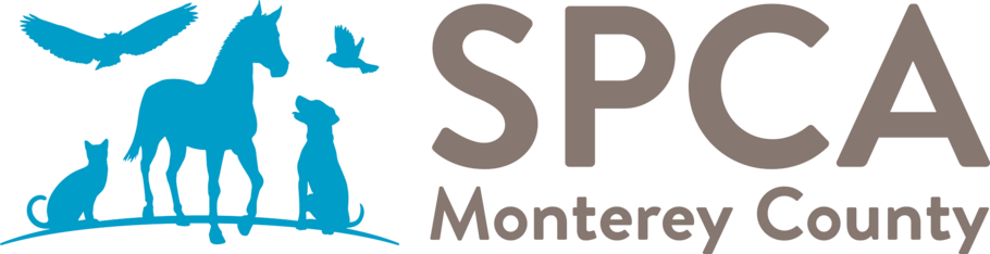 Logo for 2027 Calendar of Superstar Pets Photo Contest