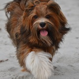 Entry image for Lizie