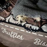 Entry image for Truffles