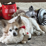 Entry image for Stanley