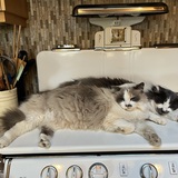 Entry image for Miss Smudge and Mr Mustache