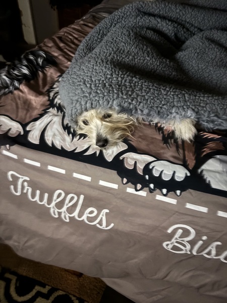 Entry image for Truffles. Clicking this image will show a larger photo