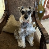 Entry image for Penny Rodriguez 