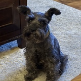 Entry image for Dakota Rodriguez