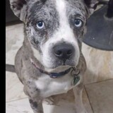 Entry image for Fernando Carin