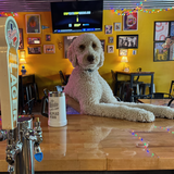 Entry image for Stetson 