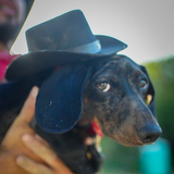 Entry image for Nathan 