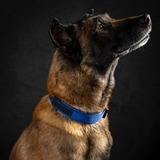 Entry image for Denis