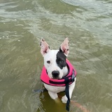 Entry image for Gina