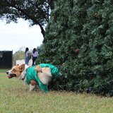 Entry image for Duke Eli