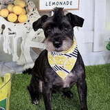 Entry image for Cooper