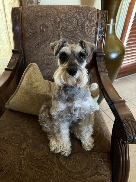 Entry image for Penny Rodriguez . Clicking this image will show a larger photo