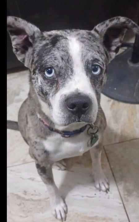 Entry image for Fernando Carin. Clicking this image will show a larger photo