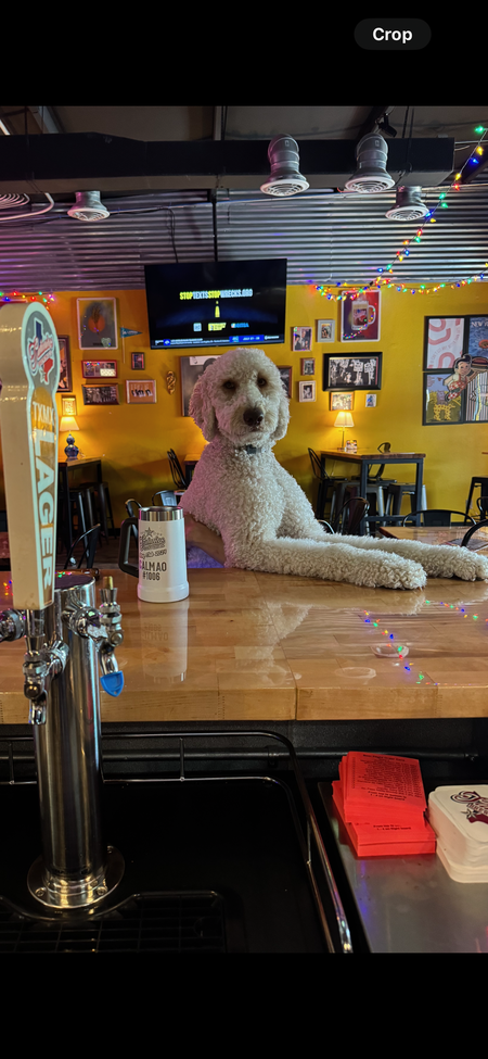 Entry image for Stetson . Clicking this image will show a larger photo