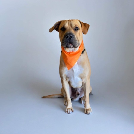 Entry image for Maximiliano Jasso . Clicking this image will show a larger photo