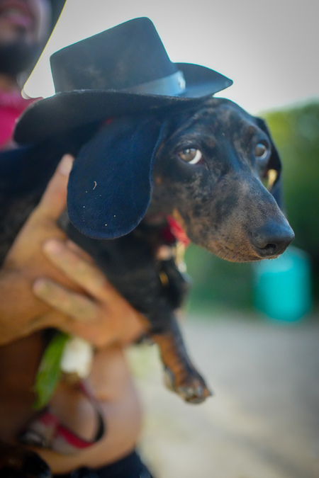 Entry image for Nathan . Clicking this image will show a larger photo