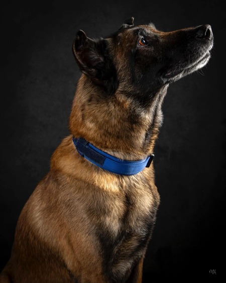 Entry image for Denis. Clicking this image will show a larger photo