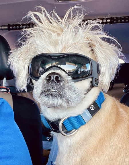 Entry image for Beau Hunter. Clicking this image will show a larger photo