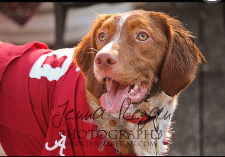 Bama