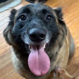Entry image for Cassie