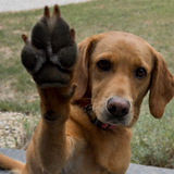 Entry image for Maddie