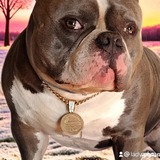 Entry image for Kane 