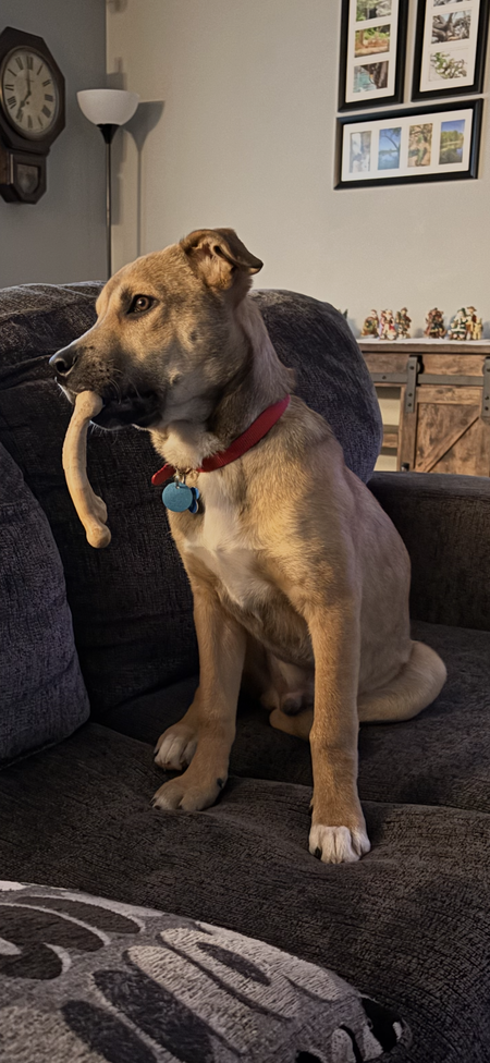 Entry image for Waylon. Clicking this image will show a larger photo