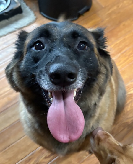 Entry image for Cassie. Clicking this image will show a larger photo