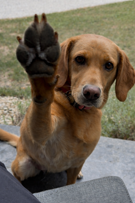 Entry image for Maddie. Clicking this image will show a larger photo