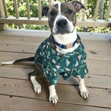 Entry image for Rusty