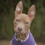 Entry image for Sally Bucket